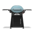 Weber Q 2800N+ w/Cart 2 Burner Grill